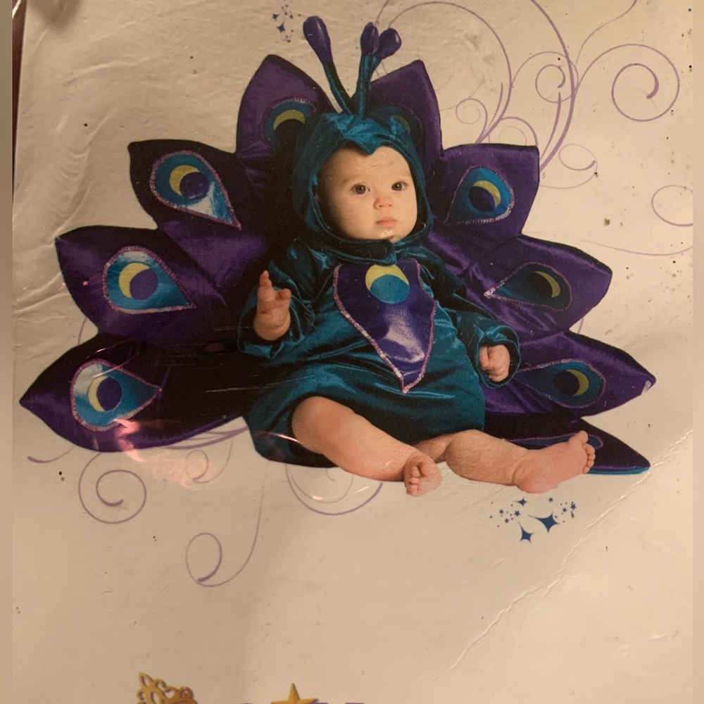 Beautiful Peacock costume for Halloween for baby
